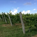 منزل ريفي Wine House Rakar Gračišče