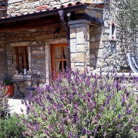 Wine House Rakar Podeželska hiša