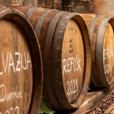 Landhaus Wine House Rakar Gračišče