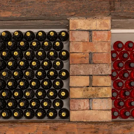 Wine House Rakar Gračišče
