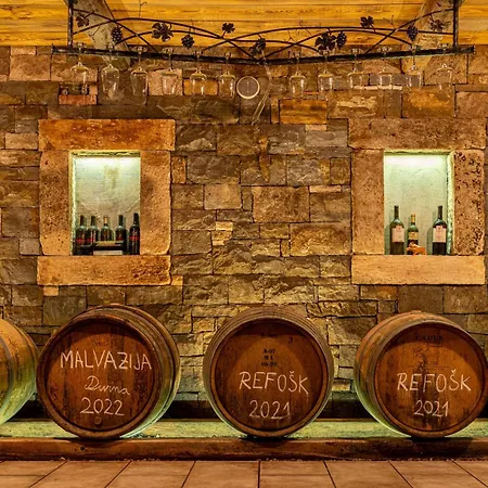Wine House Rakar Landhaus *
