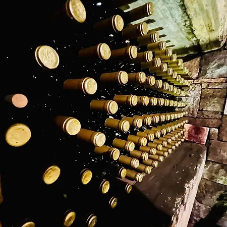 Wine House Rakar Landhaus *
