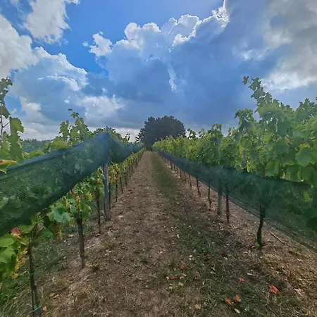 Wine House Rakar