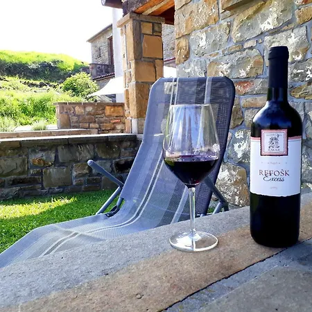 Wine House Rakar Gračišče