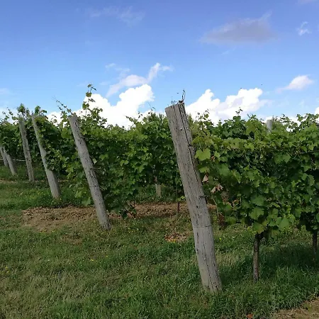 Landhaus Wine House Rakar Gračišče