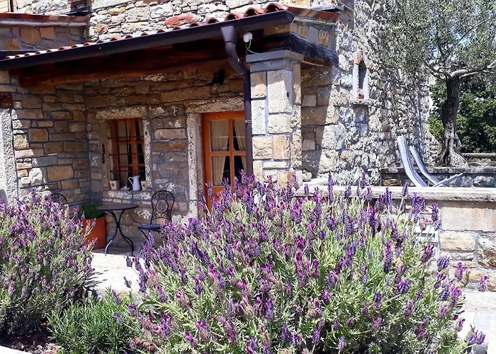 Wine House Rakar Летний дом