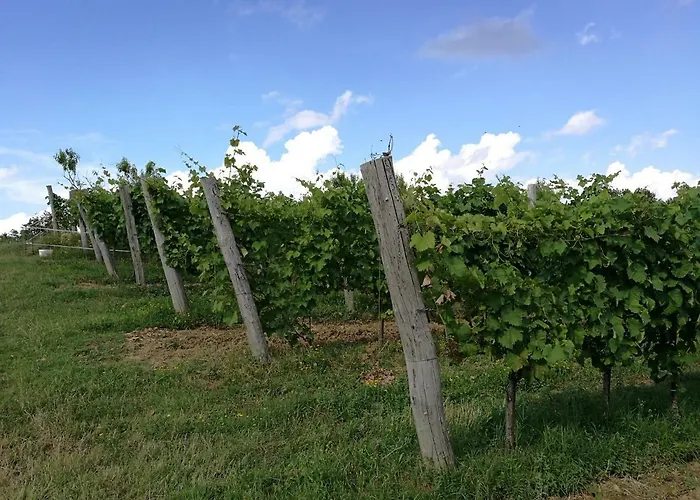 Летний дом Wine House Rakar Gracisce